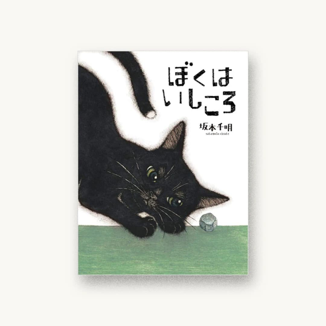 『ぼくはいしころ』 装丁: 椎名麻美 書影
