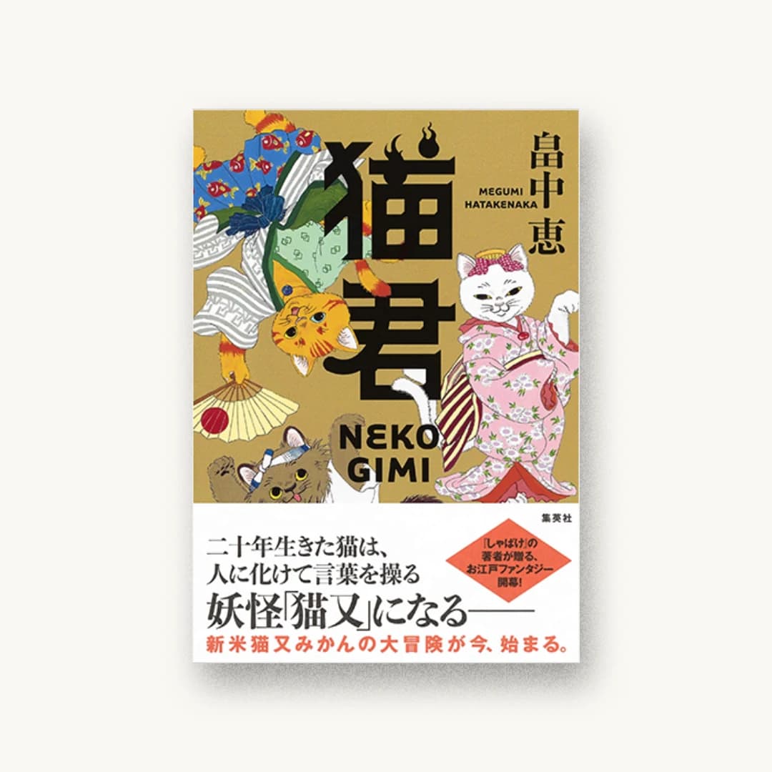 猫君