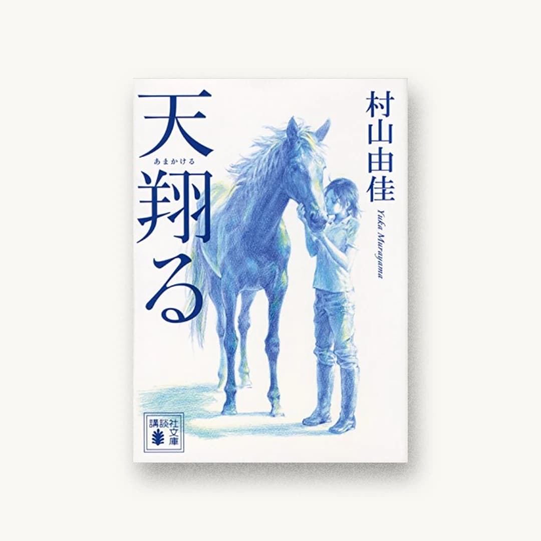 『天翔る』 装丁: 谷口博俊 書影