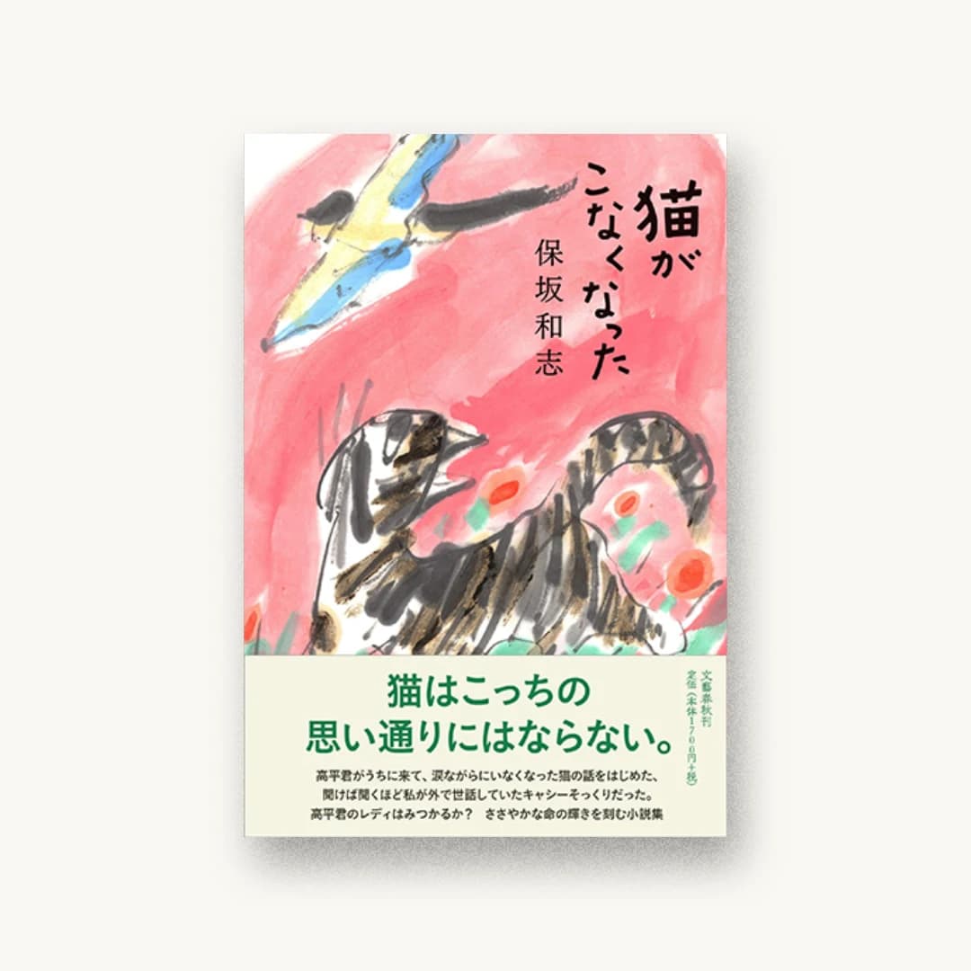 『猫がこなくなった』 装丁: 野中深雪 書影