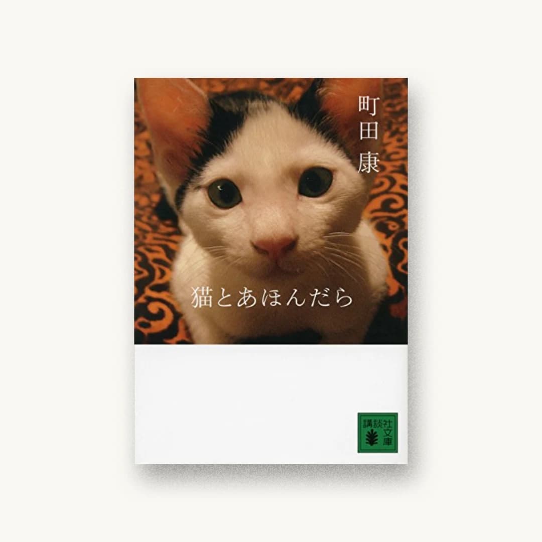 『猫とあほんだら』 装丁: アリヤマデザインストア 書影