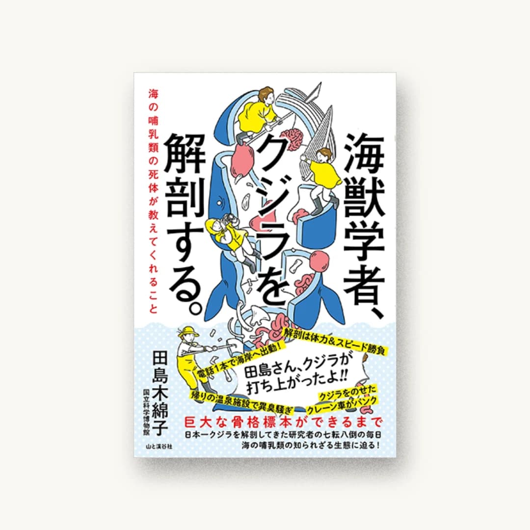 『海獣学者、クジラを解剖する。 海の哺乳類の死体が教えてくれること』 装丁: 佐藤亜沙美 書影