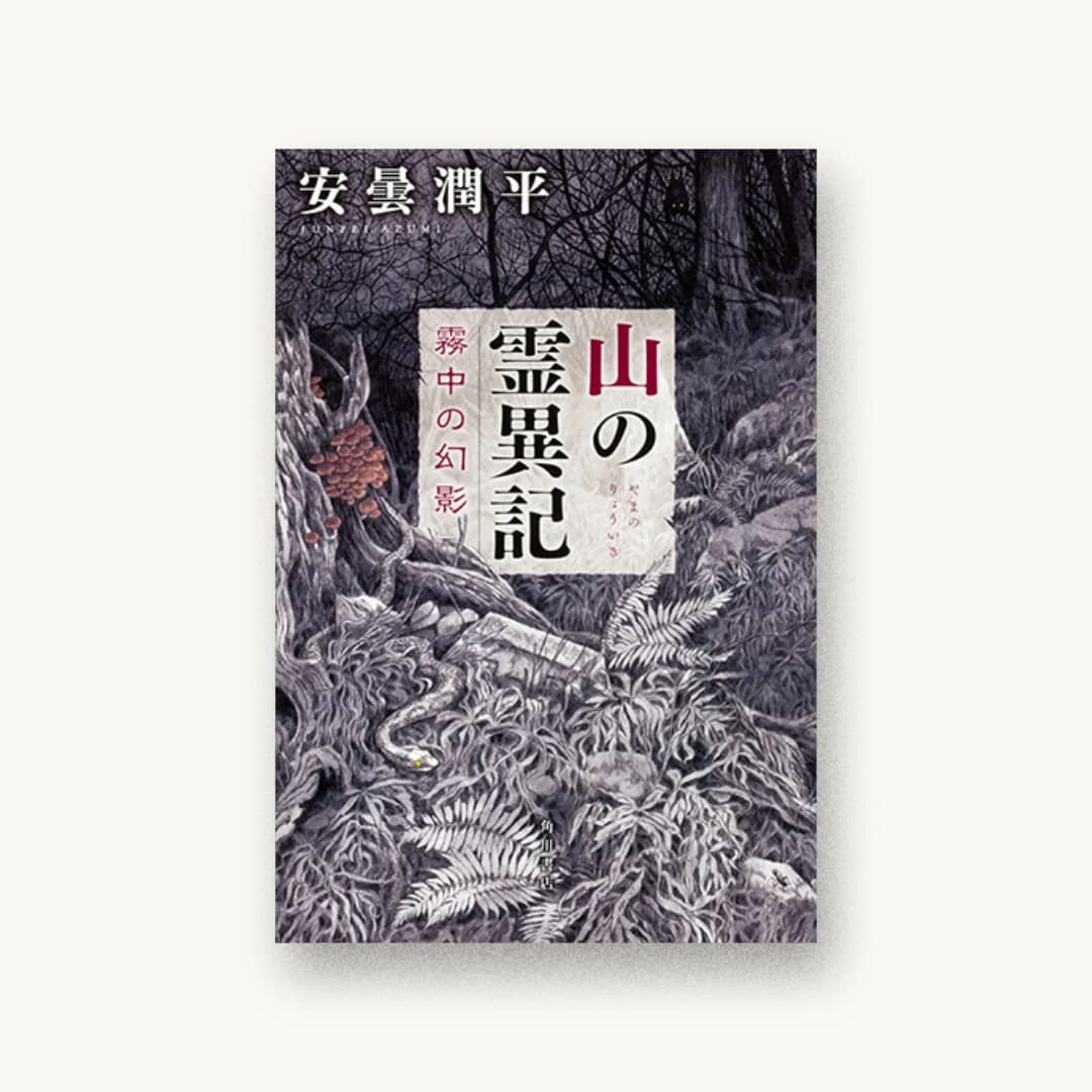 山の霊異記 霧中の幻影
