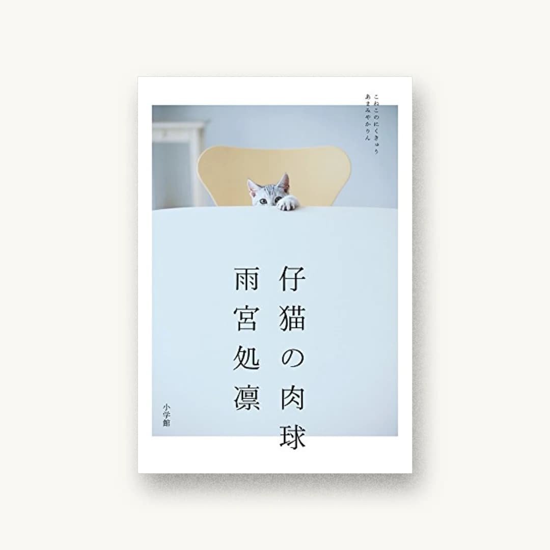 『仔猫の肉球』 装丁: MottoPet+amanaimages 書影