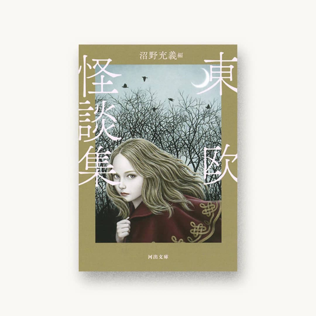 『東欧怪談集』 装丁: 坂野公一+吉田友美 書影