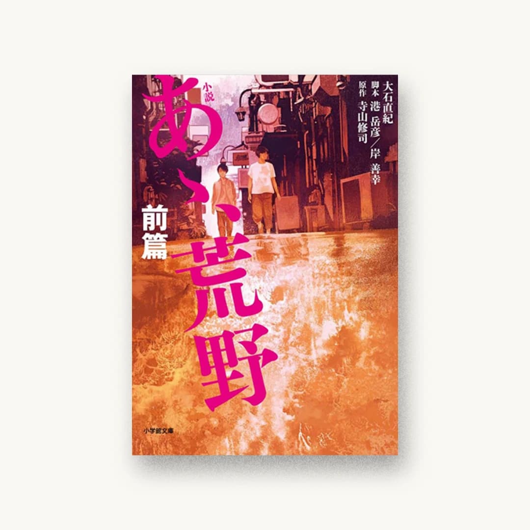 小説 あゝ、荒野 前篇