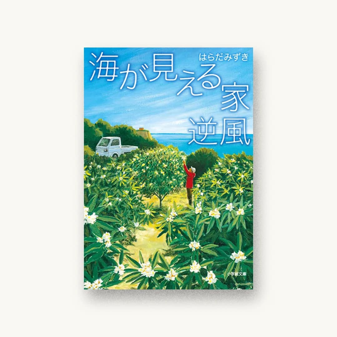 『海が見える家 逆風』 装丁: 山田満明 書影
