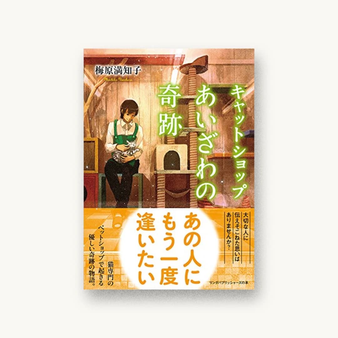 キャットショップあいざわの奇跡