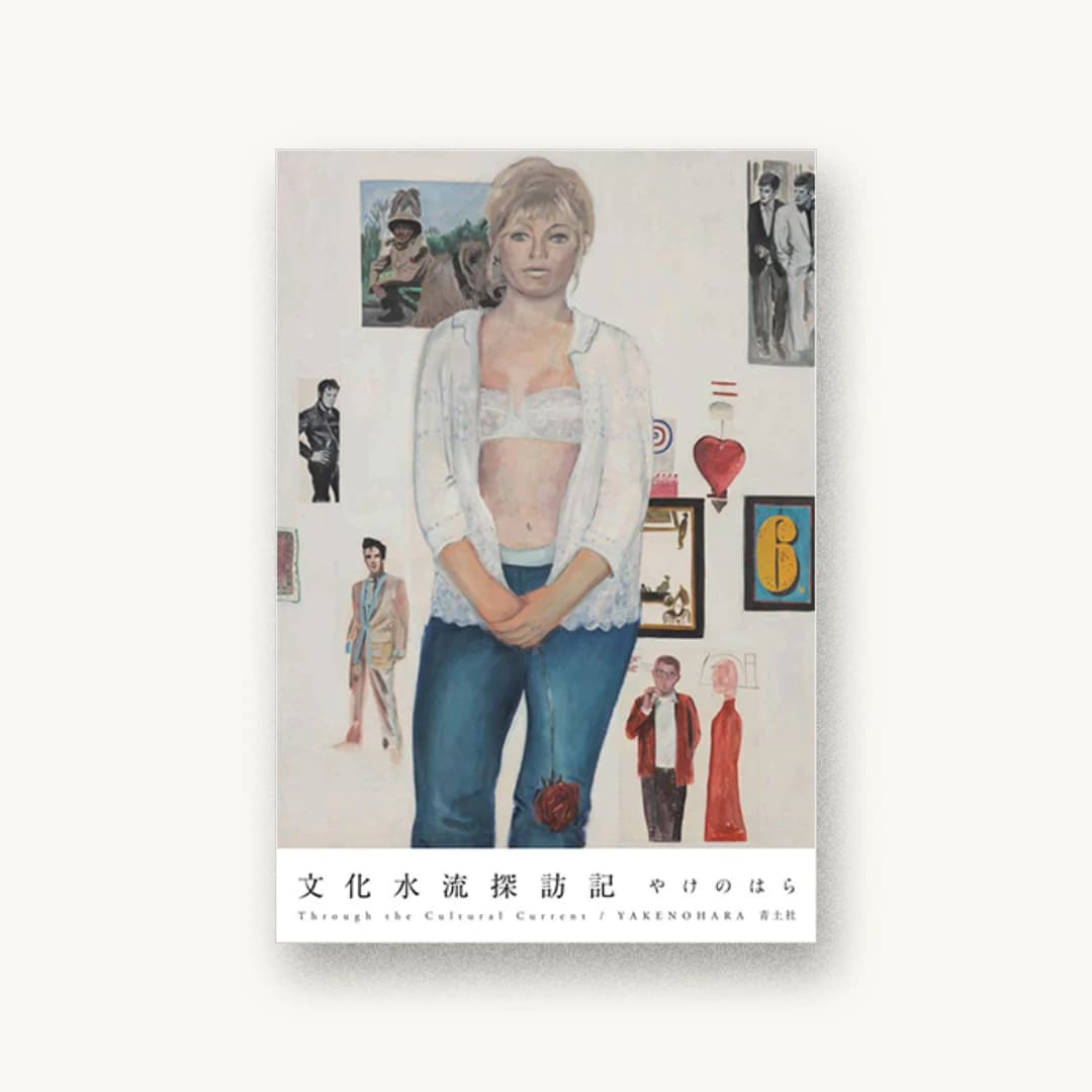 『文化水流探訪記』 装丁: 國枝達也 書影