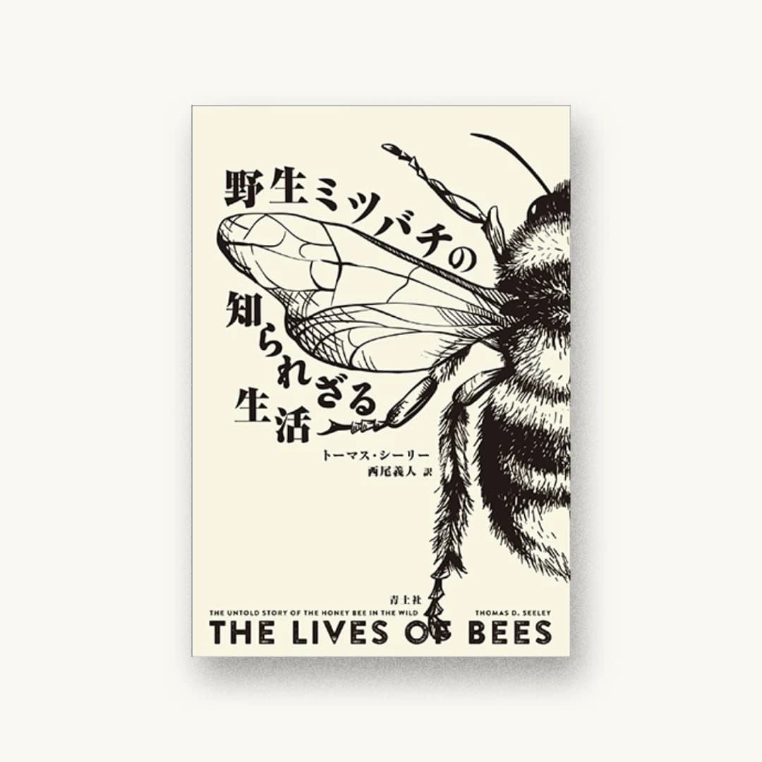 野生ミツバチの知られざる生活